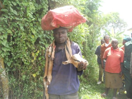 Habinshuti yikoreye ihene yibye.