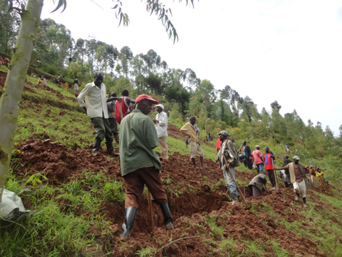 Haciwe imirwanyasuri ku musozi wa Gatongati.