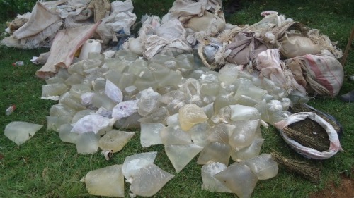 Hamenwe litiro 712 za Kanyanga.