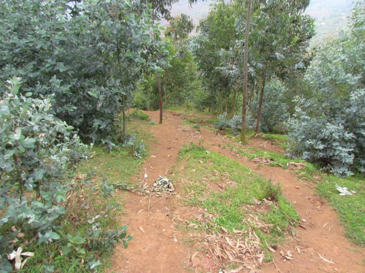 Hano mu ishyamba niho baca bajya gusenga.