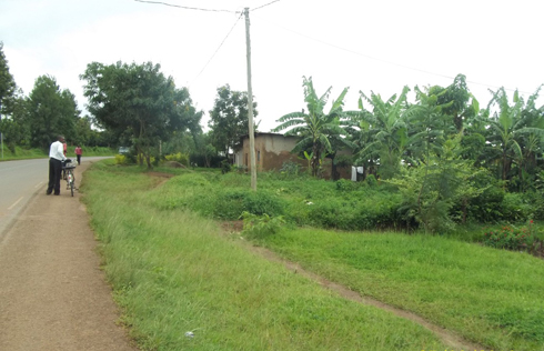 Hari abasa n'abatarigeze bagira ubusitani.