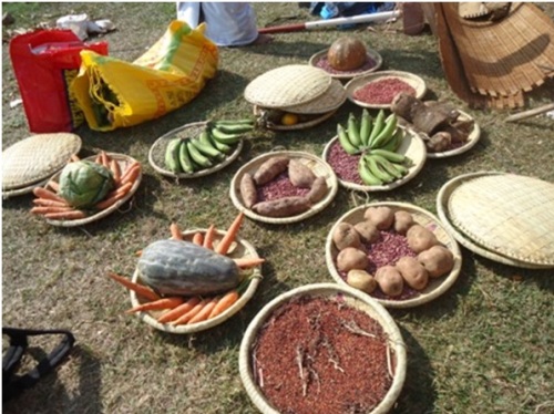 Ibihingwa by'amoko anyuranye berekanye ko bigihingwa kandi bigatanga umusaruro ushimishije.