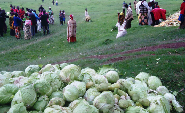 Ibiribwa bigizwe n'amashu, ibishyimbo, ibirayi n'ibigori ndetse n'amafaranga yabonetse byagabanijwe imiryango yirukanywe muri Tanzaniya.