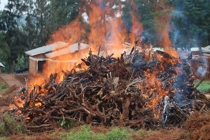 Polisi itwika ibiti by