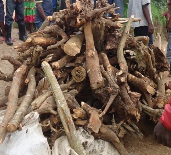 Ibi biti bamwe babyita Kabaruka abandi bakabyita Imishikiri.