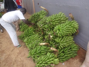 Mubyo bahawe harimo n'ibitoki.