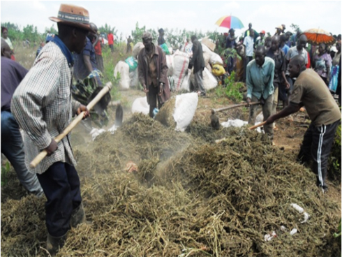 Ibiyobyabwenge byatwitswe.