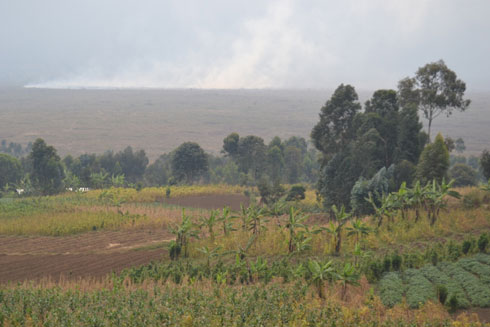 Ifoto yafatiwe Busasamana tariki 16/07/2013 igaragaza uko Kirimanyoka na Bisheke aho abahunze bari batuye habaye. 