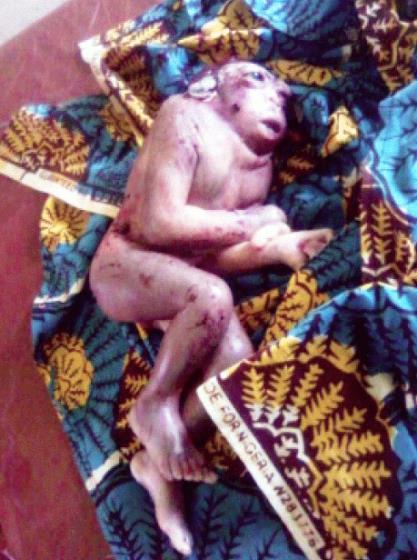 Igice cyo hasi ni umuntu hejuru ni ingagi.