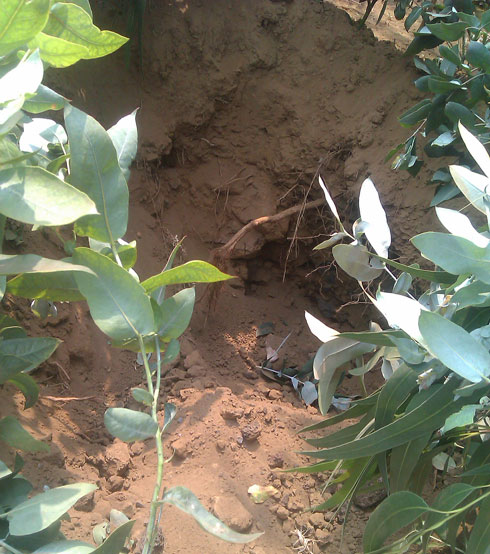 Hamwe mu ho ibisasu byarashwe n'ingabo za Congo byaguye mu Rwanda.