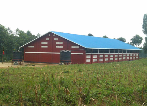 Ikigega gihunika toni 400 z