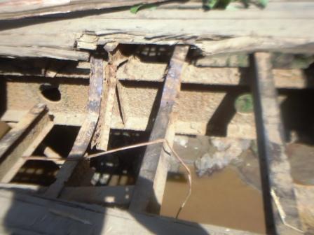 Ikiraro cyari gishaje ku buryo ibyuma ndetse n'imbaho byose byacikaguritse.