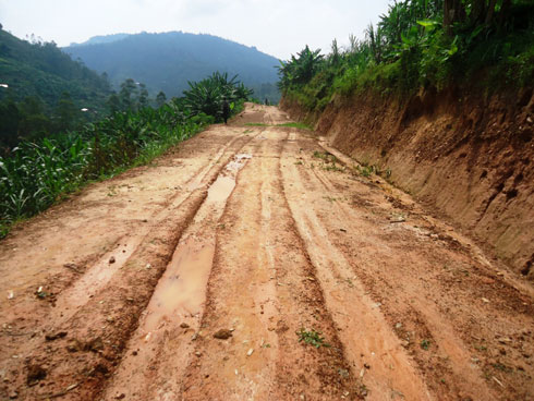 Imihanda yaciwe mu mirima y