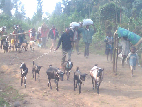 Impunzi z'Abanyecongo bahungiraga mu Rwanda intambara yegereye Gasizi.