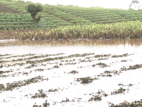 Imwe mu myaka yarengewe n