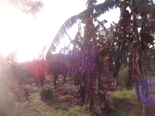 Imyaka y'abaturage yangiritse.