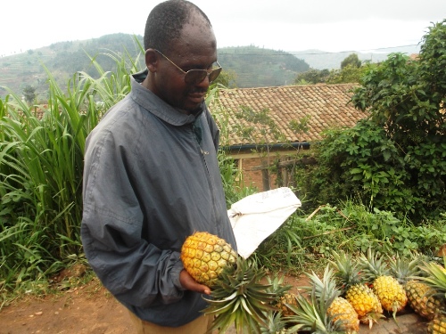 Inanasi ayiterura mu ntoki akayirangura akurikije uburemere yumva ifite.