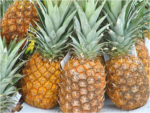 Karubera amaze kumenya kubyaza ubukungu inanasi.