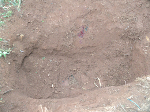 Imirambo ya ba nyakwigendera bayisanze muri iyi ngarani.