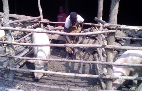 Inguruze ngo zishaka isuku. Uyu ni umukozi wa Dusabemungu.