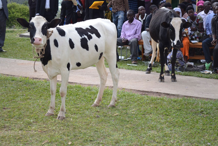 Inka ebyiri zatanzwe ku kigo cya St Antoine n'abaharokokeye.