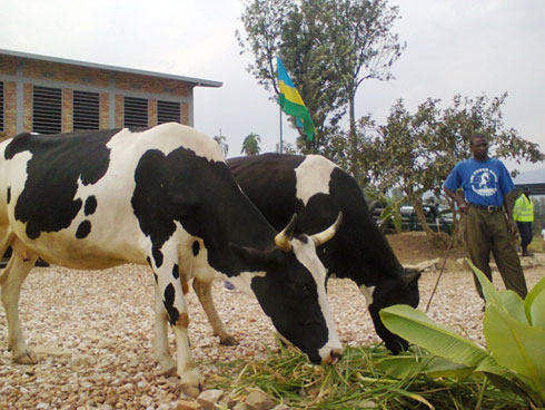 Inka umuyobozi w'umuryango DGD w'Abadage yahaye ishuli rya RTSS.