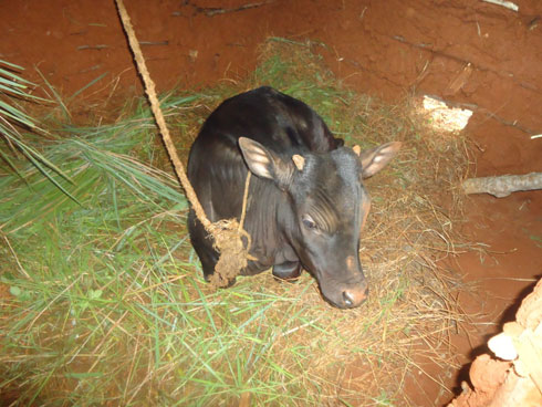 Inka yahawe Cyewusi n'umuryango we.