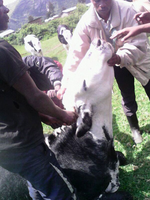 Iyo ngo barimo bayisuzuma inddwara y'uburenge