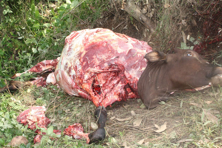 Inka ziricwa bakajyana bimwe mu bice byazo ibindi bakabisiga.