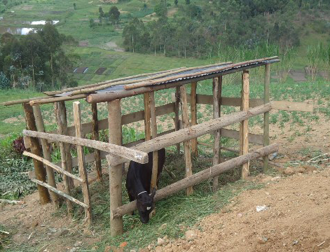 Inka Umukecuru Nyirakaje yahawe.