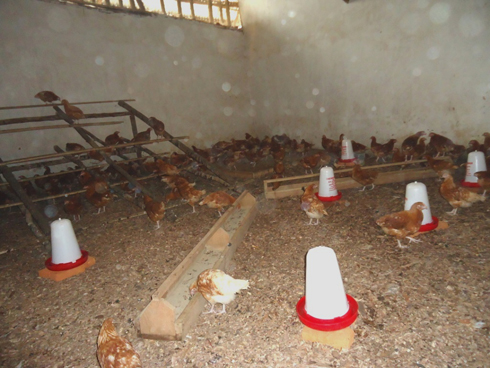 Inkoko umuryango JUSTE EQUIPAGE woroje impuzamashyirahamwe TWUNGUBUMWE.