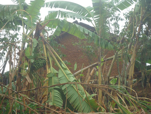 Insina z'abaturage na zo zaguye.