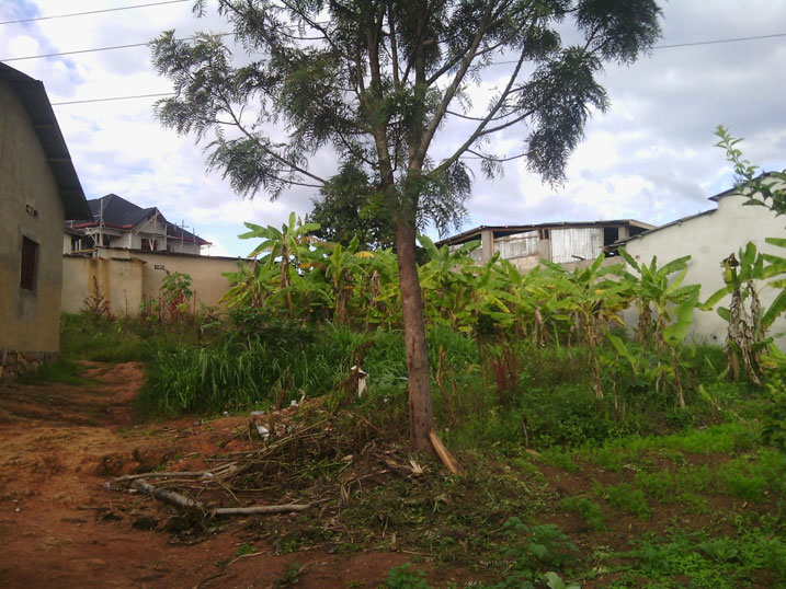 Inyubako z'uruganda (iburyo) zifatanye n'ingo z'abaturage.