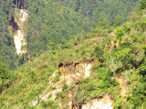 Ishyamba kimeza rya Mukura ryangizwa n'abacukuramo amabuye.