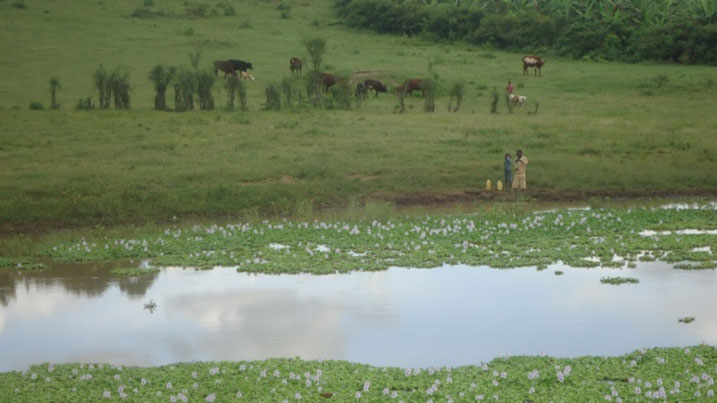 Iyi ni Valley dam abaturage n