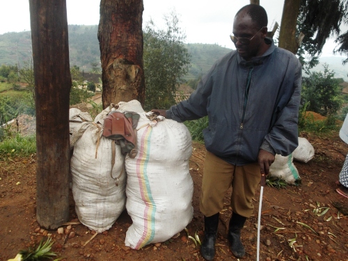 Iyi mifuka irimo inanasi Ngiruwonsanga amaze kurangura.