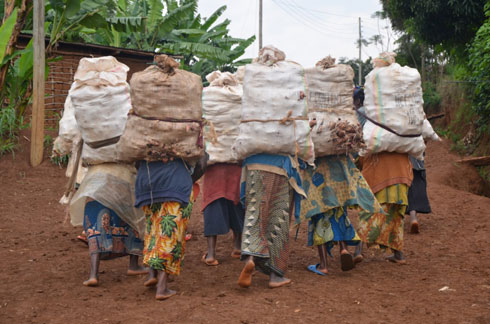 Aba bagore ngo barifuza ko abagabo babo babafasha kwita ku ngo zabo.