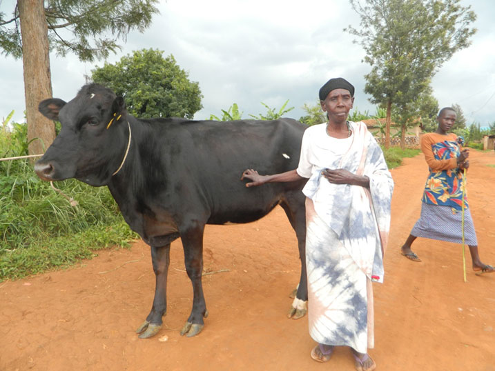 Kankindi Xaverine, umwe mu bakecuru babiri bahawe inka n