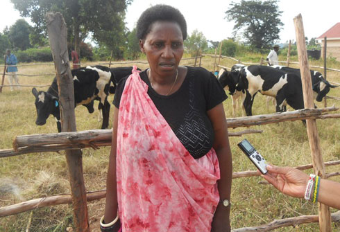 Kayiraba Consensa perezidante wa Avega mu ntara y'Uburasirazuba.