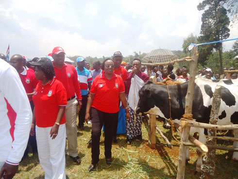 Ku kibuga cyo kwamamarizaho cya Bushenge, abaturage beretse abakandida-depite ba FPR inka nk'ikimenyetso cy'ubutunzi FPR yabage.