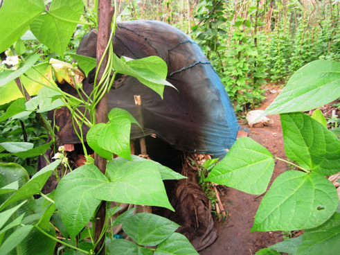 Aka karuri niko atuyemo kuko yanze kuba mu nyubako nzima ngo ategereje isezerano ry'Imana izamukura nk'aho yakuye Yobu