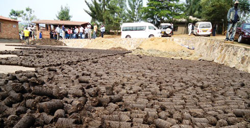 Ibicanwa bikorwa mu bishingwe. 