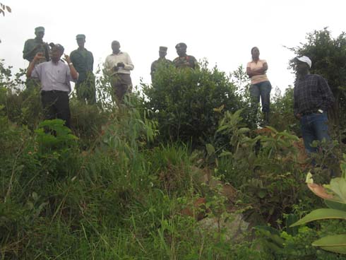 Minisitiri Kamanzi Sitanislas ari kumwe n'abayobozi bareba ahatewe amashyamaba.