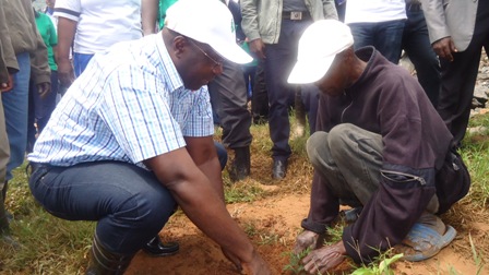 Minisitiri w'intebe Dr Habumuremyi P. Damien n'umuturage batera igiti.