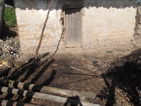 Mu gikari hasigaye igiti inka yazirikwagaho cyonyine kuko bahise bayibaga.