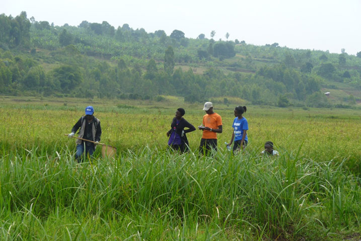 Mu gishanga cya Rwasave, aho impuguke mu by