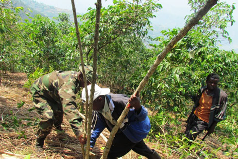 Abahinzi ba kawa basobanuriwe akamaro k