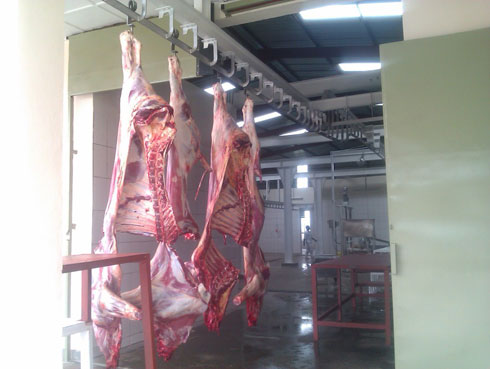 Iri bagiro rifite ubushobozi bwo gutunganya inka 200 ku munsi nyamara nta na rimwe rirarenza inka 10 ku munsi.