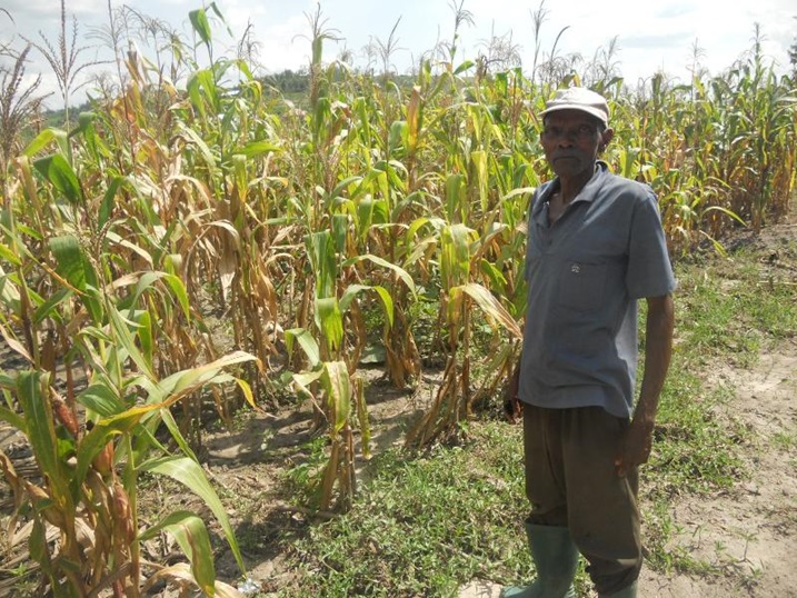 Mu ihinga rya 2014 umusaruro wabaye mubi.