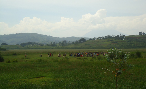 Igishanga cya Rugezi kigaragara nk